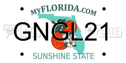GNGL21 Florida License Plate