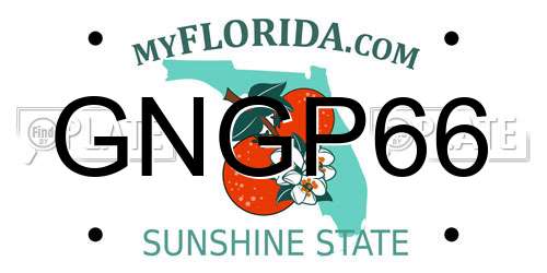 GNGP66 Florida License Plate
