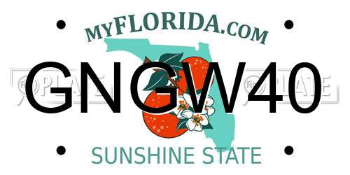 GNGW40 Florida License Plate