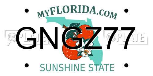 GNGZ77 Florida License Plate