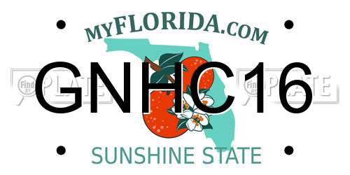 GNHC16 Florida License Plate