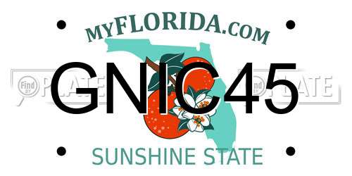 GNIC45 Florida License Plate