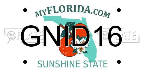 GNID16 Florida License Plate