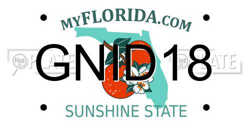 GNID18 Florida License Plate