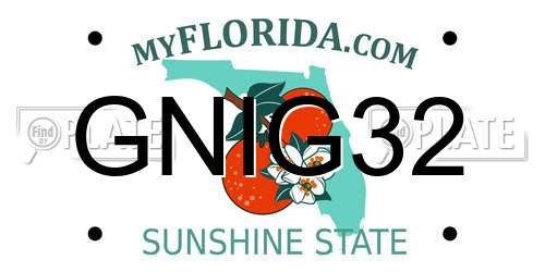 GNIG32 Florida License Plate