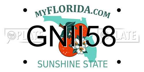 GNII58 Florida License Plate