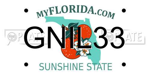GNIL33 Florida License Plate