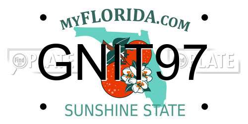 GNIT97 Florida License Plate
