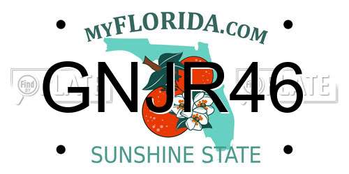 GNJR46 Florida License Plate
