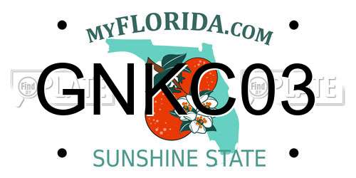 GNKC03 Florida License Plate