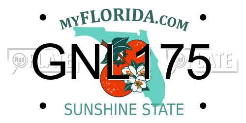 GNL175 Florida License Plate