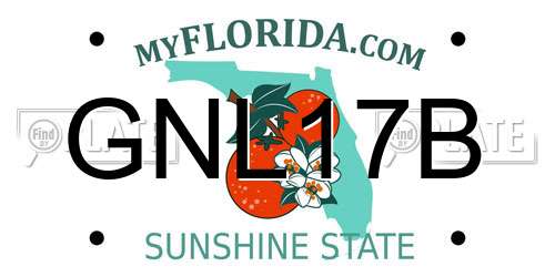 GNL17B Florida License Plate