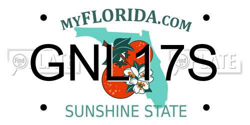 GNL17S Florida License Plate