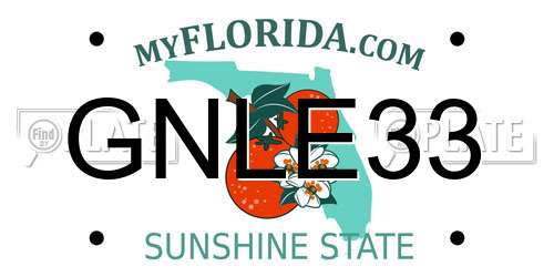 GNLE33 Florida License Plate