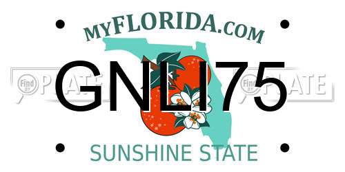 GNLI75 Florida License Plate