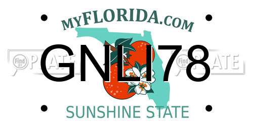 GNLI78 Florida License Plate