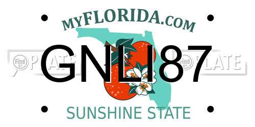 GNLI87 Florida License Plate