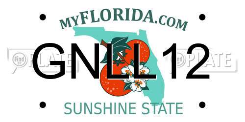 GNLL12 Florida License Plate