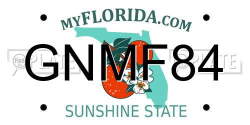 GNMF84 Florida License Plate