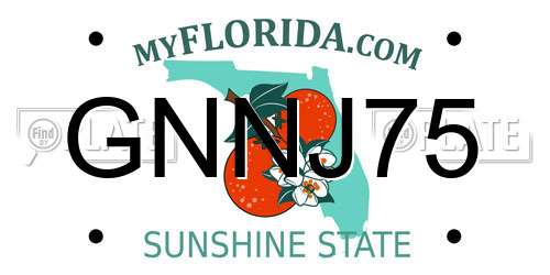 GNNJ75 Florida License Plate