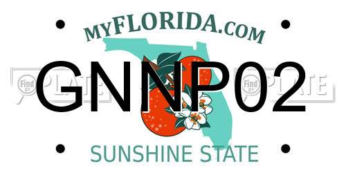 GNNP02 Florida License Plate