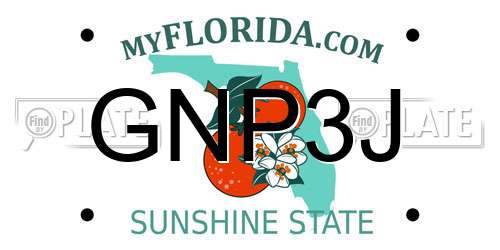GNP3J Florida License Plate