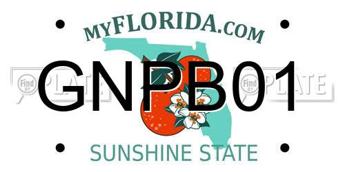 GNPB01 Florida License Plate