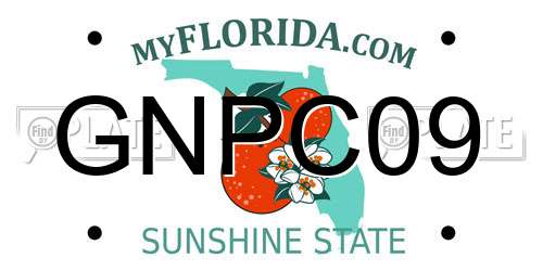 GNPC09 Florida License Plate