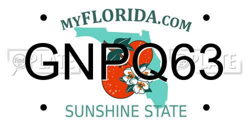 GNPQ63 Florida License Plate