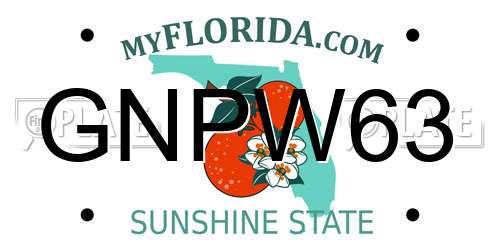 GNPW63 Florida License Plate