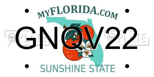 GNQV22 Florida License Plate