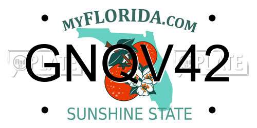 GNQV42 Florida License Plate