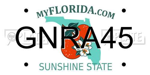 GNRA45 Florida License Plate