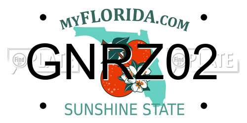GNRZ02 Florida License Plate
