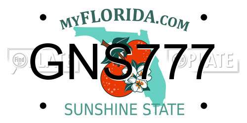 GNS777 Florida License Plate