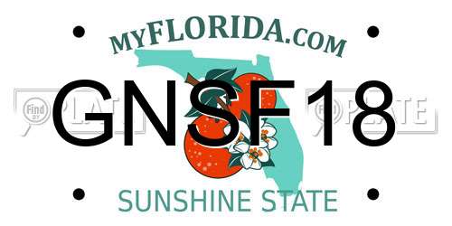 GNSF18 Florida License Plate