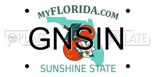 GNSIN Florida License Plate