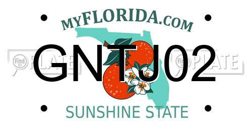 GNTJ02 Florida License Plate