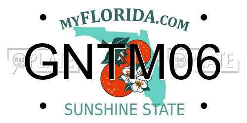 GNTM06 Florida License Plate