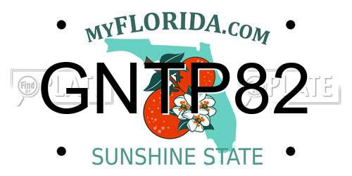 GNTP82 Florida License Plate