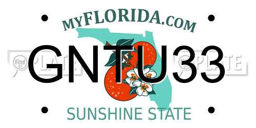 GNTU33 Florida License Plate