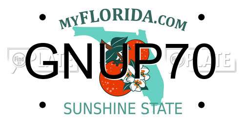 GNUP70 Florida License Plate