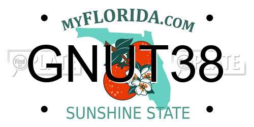 GNUT38 Florida License Plate