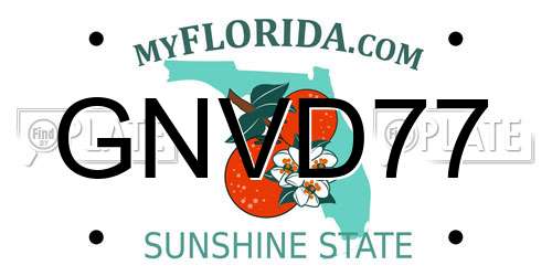GNVD77 Florida License Plate