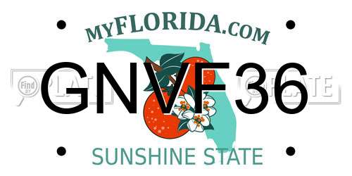 GNVF36 Florida License Plate