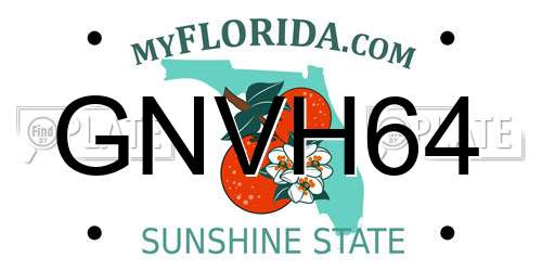 GNVH64 Florida License Plate