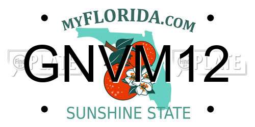 GNVM12 Florida License Plate