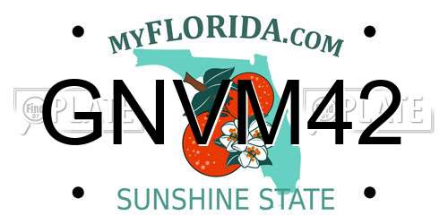 GNVM42 Florida License Plate