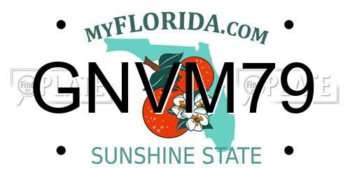 GNVM79 Florida License Plate