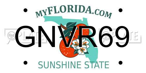 GNVR69 Florida License Plate